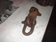 a331639-Mi Shackle.jpg